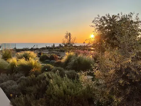 A private garden designed by Antoine Garden Designer, Paphos