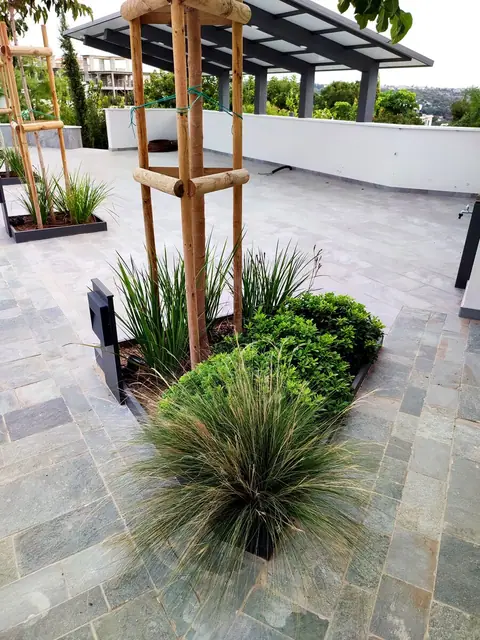 A private garden designed by Antoine Garden Designer, Paphos