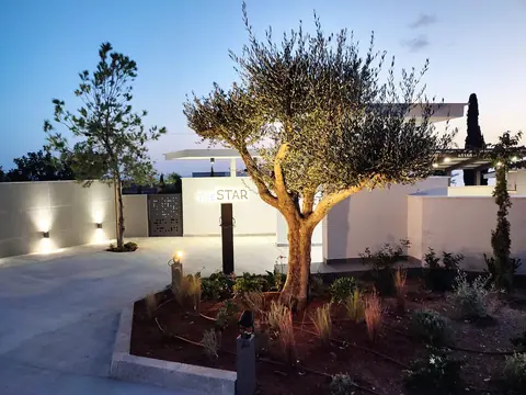 A private garden designed by Antoine Garden Designer, Paphos — olive trees, by night, its irrigation in view