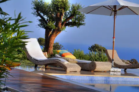 A private garden designed by Antoine Garden Designer, Paphos — olive trees, pools & sea