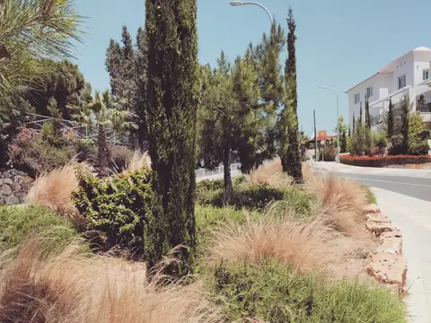 A communal garden designed by Antoine Garden Designer, Paphos — grasses