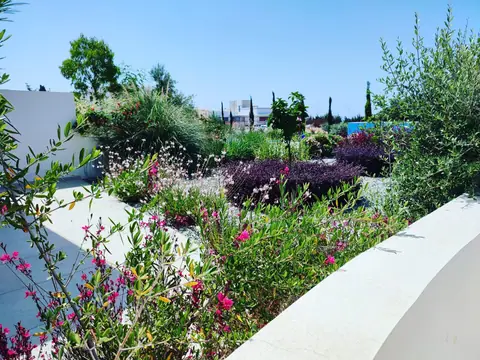 A private garden designed by Antoine Garden Designer, Paphos — flowers