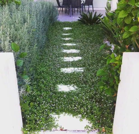 A private garden designed by Antoine Garden Designer, Paphos — paths