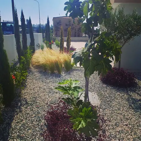 A private garden designed by Antoine Garden Designer, Paphos — grasses