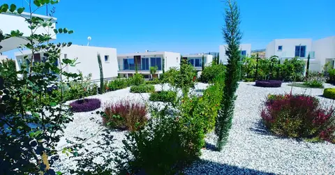 A communal garden designed by Antoine Garden Designer, Paphos