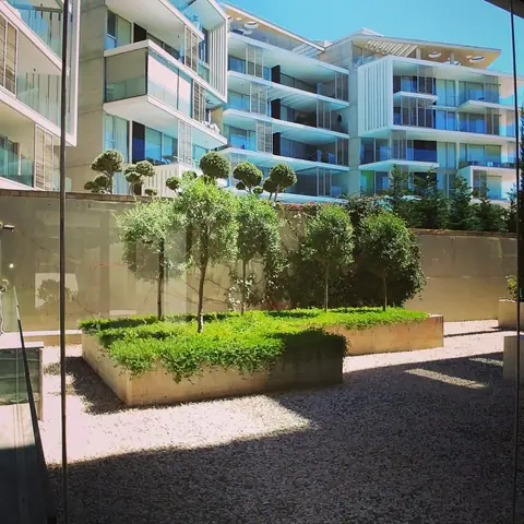 A communal garden designed by Antoine Garden Designer, Paphos