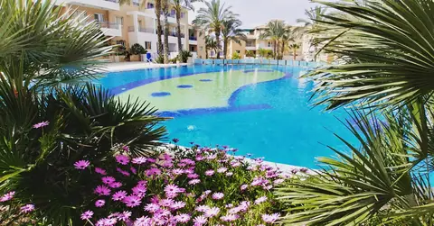 A communal garden designed by Antoine Garden Designer, Paphos — flowers, pools & sea