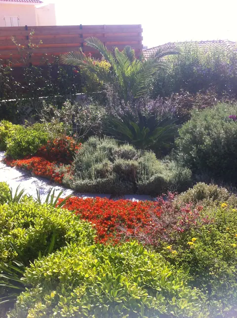A private garden designed by Antoine Garden Designer, Paphos — flowers