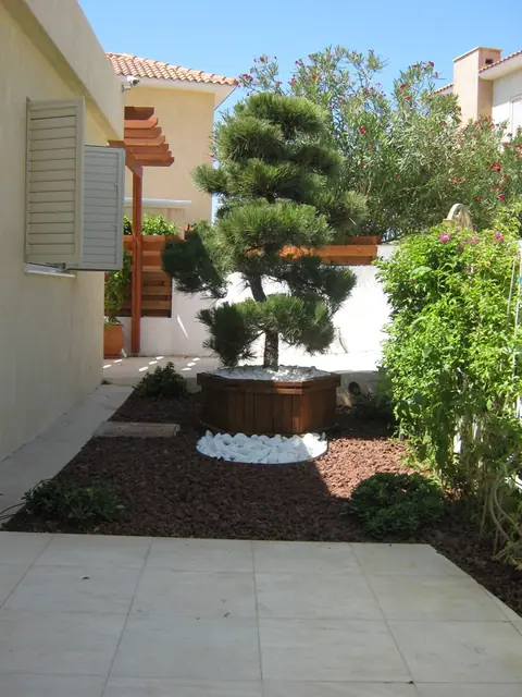A private garden designed by Antoine Garden Designer, Paphos — details