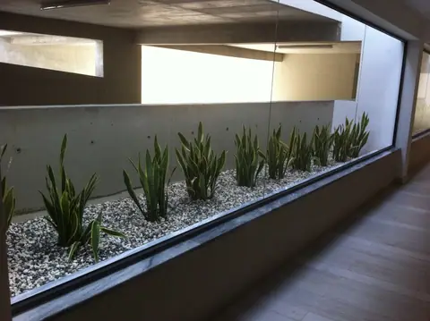 A communal garden designed by Antoine Garden Designer, Paphos — details