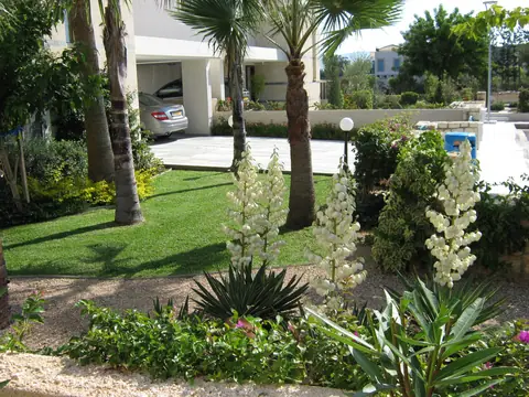 A private garden designed by Antoine Garden Designer, Paphos