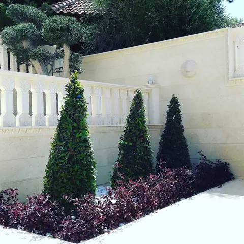 A private garden designed by Antoine Garden Designer, Paphos — details