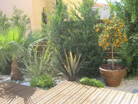 A private garden designed by Antoine Garden Designer, Paphos — details