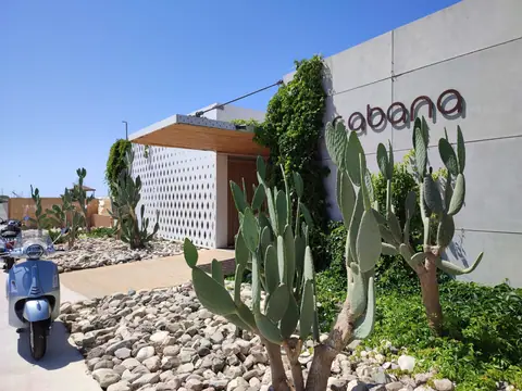 A communal garden designed by Antoine Garden Designer, Paphos — details