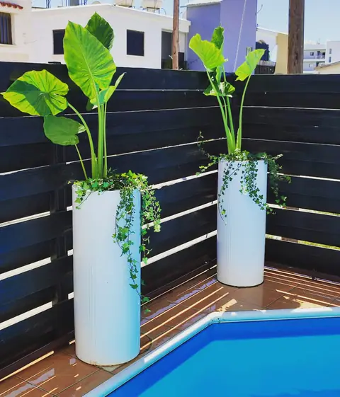A private garden designed by Antoine Garden Designer, Paphos — pools & sea, details