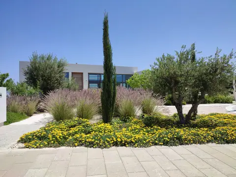 A private garden designed by Antoine Garden Designer, Paphos — grasses, olive trees, flowers