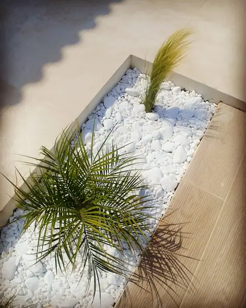 A private garden designed by Antoine Garden Designer, Paphos — details