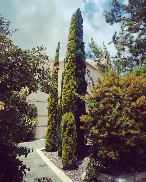 A private garden designed by Antoine Garden Designer, Paphos