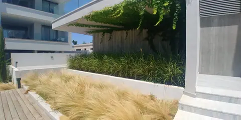 A communal garden designed by Antoine Garden Designer, Paphos — grasses