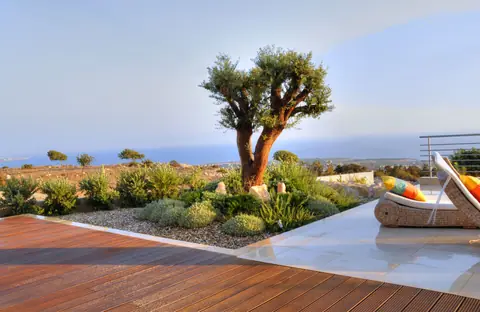 A private garden designed by Antoine Garden Designer, Paphos — olive trees, pools & sea