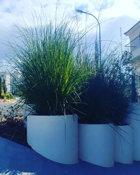A communal garden designed by Antoine Garden Designer, Paphos — grasses, details