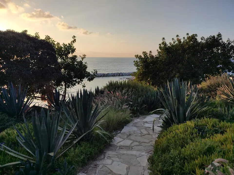 A stone path between agaves and shrubs leading down towards the sea at sunset