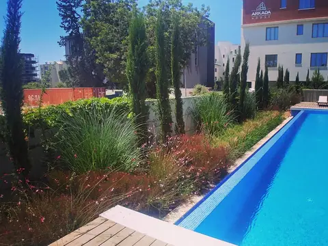 A private garden designed by Antoine Garden Designer, Paphos — grasses, pools & sea