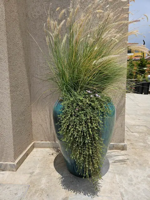 A private garden designed by Antoine Garden Designer, Paphos — grasses, details