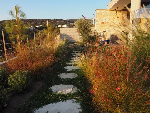 A private garden designed by Antoine Garden Designer, Paphos — paths, grasses