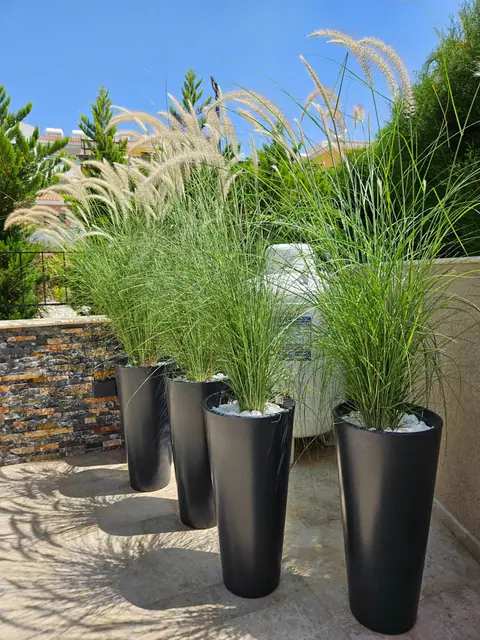 A private garden designed by Antoine Garden Designer, Paphos — grasses, details