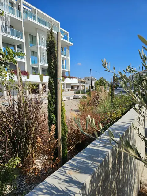 A communal garden designed by Antoine Garden Designer, Paphos — grasses