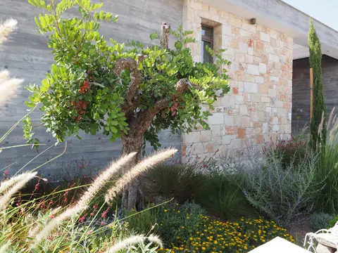A private garden designed by Antoine Garden Designer, Paphos — grasses