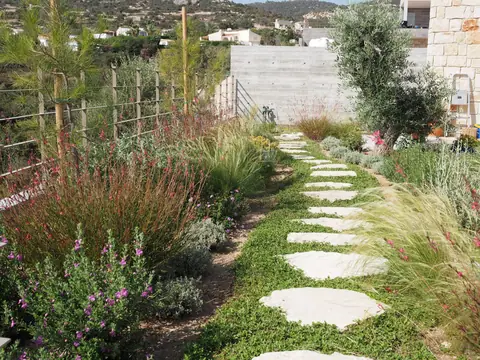 A private garden designed by Antoine Garden Designer, Paphos — paths, grasses