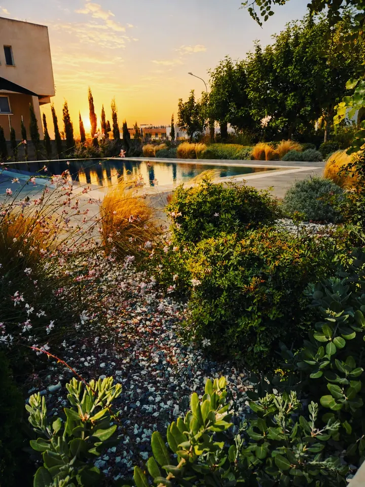A Mediterranean garden and pool at golden hour